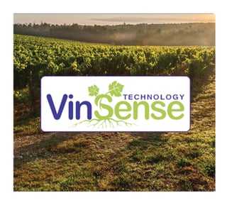 VinSense-3