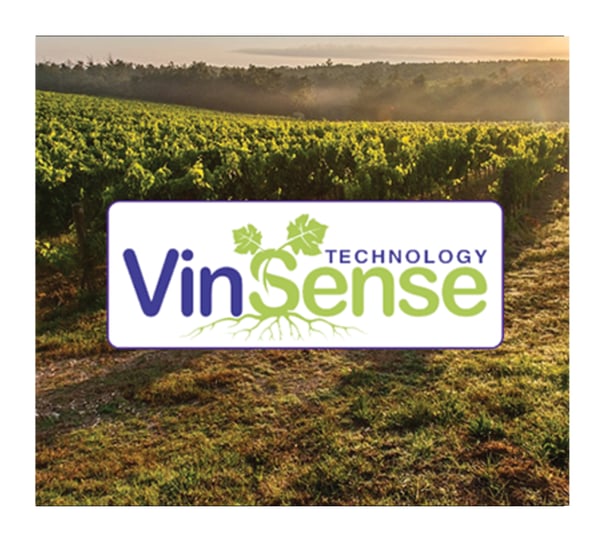 VinSense-3